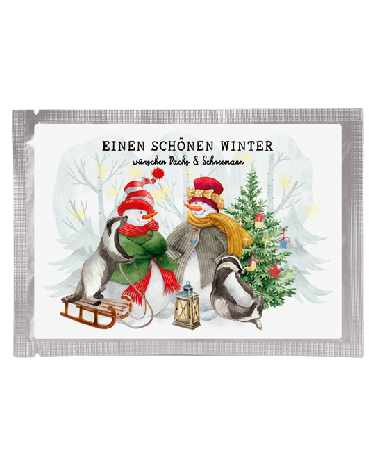 Tee-Postkarte Schneemann & Dachs